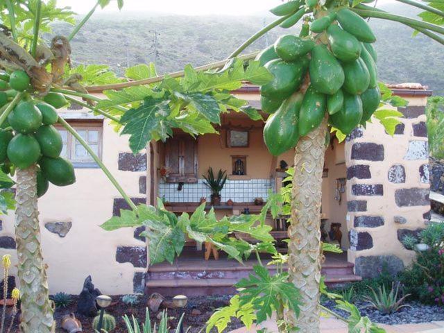 弗龙特拉 Casa De Mi Abuela Maria旅馆 外观 照片
